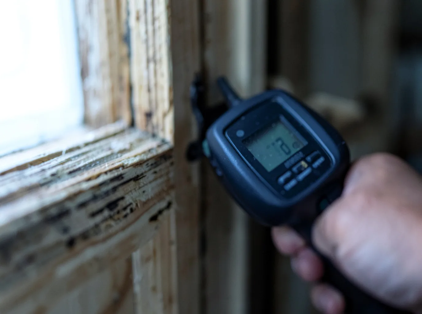 Moisture Inspection And Documentation in Kings Bay, GA